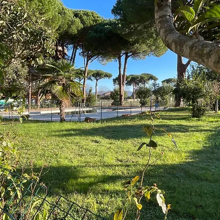 Il Pino
